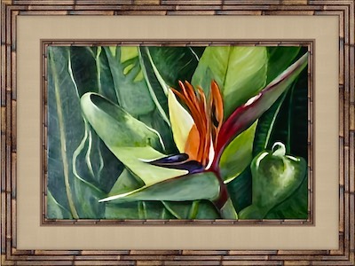 birdofparadise.jpg