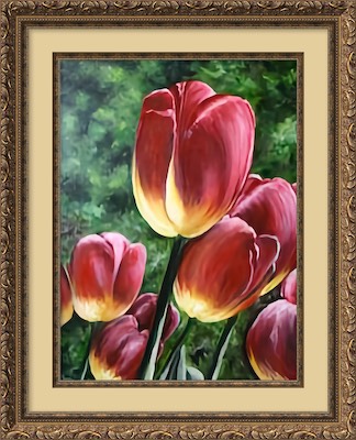 tulips.jpg
